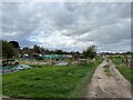 SJ9223 : Coton Fields Allotments by Jonathan Hutchins