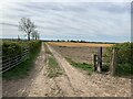 SJ7953 : Footpath on farm track by Jonathan Hutchins