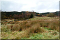 SH7658 : Looking along the dam face of Llyn Tynymynydd by Andy Waddington