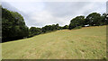 SH7968 : Field above path to Pant-yr-ych Bach by Andy Waddington