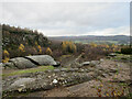 NS7792 : Cambusbarron Quarry (disused) by Alan O'Dowd