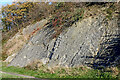 SO9392 : Limestone slabs on Wren's Nest Hill near Dudley by Roger  D Kidd