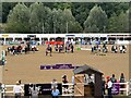 SO7922 : Awards ceremony for the European Young Riders at Hartpury by Jonathan Hutchins