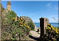 SH4094 : Ruins at Porth Wen by Mat Fascione