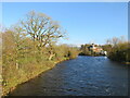 NY1130 : River Derwent, Cockermouth by Malc McDonald