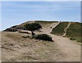 ST2958 : England Coast Path on Brean Down by Mat Fascione