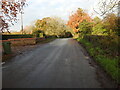 TM2084 : Site of the former level crossing at Pulham Mary Station by Adrian S Pye