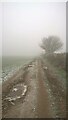 TF1606 : Farm track and footpath between Peakirk and Glinton on a foggy, frosty morning by Paul Bryan