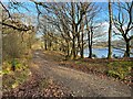 SD3094 : The Cumbria Way near Hoathwaite Landing by Adrian Taylor