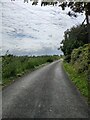 ST3649 : Vole Road near Vole House Farm by PAUL FARMER