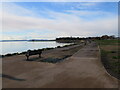 SZ0290 : Promenade along Poole Harbour by Malc McDonald