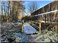 SJ9223 : Footbridge over ditch by Jonathan Hutchins