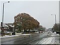 SZ1094 : Autumn colour and winter snow in Charminster, Bournemouth by Malc McDonald