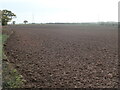 SK7669 : Harrowed field, south side of Tuxford Road by Christine Johnstone