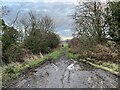 SJ8050 : Muddy track off Grassy Green Lane by Jonathan Hutchins