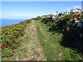 SN3457 : Ceredigion Coast Path by Sandy Gerrard