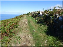  : Ceredigion Coast Path by Sandy Gerrard