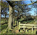 NZ1648 : Wooden stile on the path to Lanchester by Robert Graham