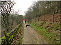 SJ9572 : Path below Tegg's Nose by Stephen Craven