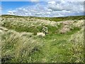 SD0499 : Footbridge on the Coast Path by Adrian Taylor