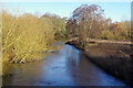 SK0220 : River Trent, Wolseley Bridge by Stephen McKay