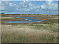 TA4016 : Low water levels, Kilnsea Wetlands nature reserve by Christine Johnstone