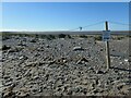 TA4214 : 'Please walk on the seaward side' at Spurn by Christine Johnstone