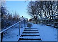 NZ1051 : Steps up from Blackhill Park by Robert Graham