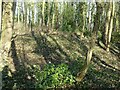 SK6148 : Earthworks in Fox Wood  1 by Alan Murray-Rust