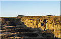 NZ0941 : Low-angled sunshine on quarry face by Trevor Littlewood