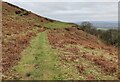 SO5887 : Shropshire Way on Brown Clee Hill by Mat Fascione