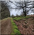 SO5987 : Earthworks along the Shropshire Way by Mat Fascione