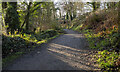 J4583 : The North Down Coastal Path at Grey Point by Rossographer