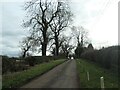 SK1519 : Trees along Lucepool Lane by Christine Johnstone