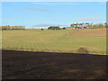 NT5048 : Newly ploughed field at Trabrown by M J Richardson