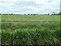 SJ9319 : Recently mown hayfield, east of Roseford Farm by Christine Johnstone