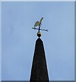 NS8879 : Weather vane by Richard Sutcliffe