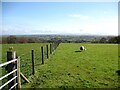 NY3441 : Public footpath near Warnell Hall by Adrian Taylor