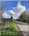 TL4346 : Thriplow: roadside daffodils on Fowlmere Road by John Sutton