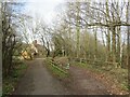 TQ1861 : Driveway and public bridleway near Epsom by Malc McDonald