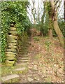 SE1324 : Steps on Footpath 49/1 in Sutcliffe Wood, Hove Edge by Humphrey Bolton