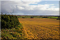 TM2330 : Arable field near Deane's Lane, Ramsey by Roger Jones