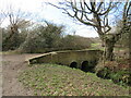 TQ1759 : Bridge over The Rye Brook, Ashtead Common by Malc McDonald