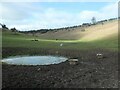 SE8460 : Dew pond, Long Dale by Christine Johnstone