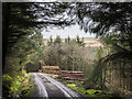 NZ0327 : Timber stacks beside forest road by Trevor Littlewood