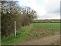 TQ1761 : Public bridleway near Malden Rushett by Malc McDonald