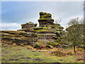 SE2065 : Rock Formation at Brimham Rocks by David Dixon