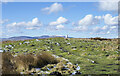 NU1021 : Grassy moorland on Eglingham Moor by Trevor Littlewood