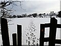 SK2653 : Stile and footpath across a snowy field by Ian Calderwood