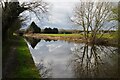 SK4329 : The Trent & Mersey Canal by David Lally